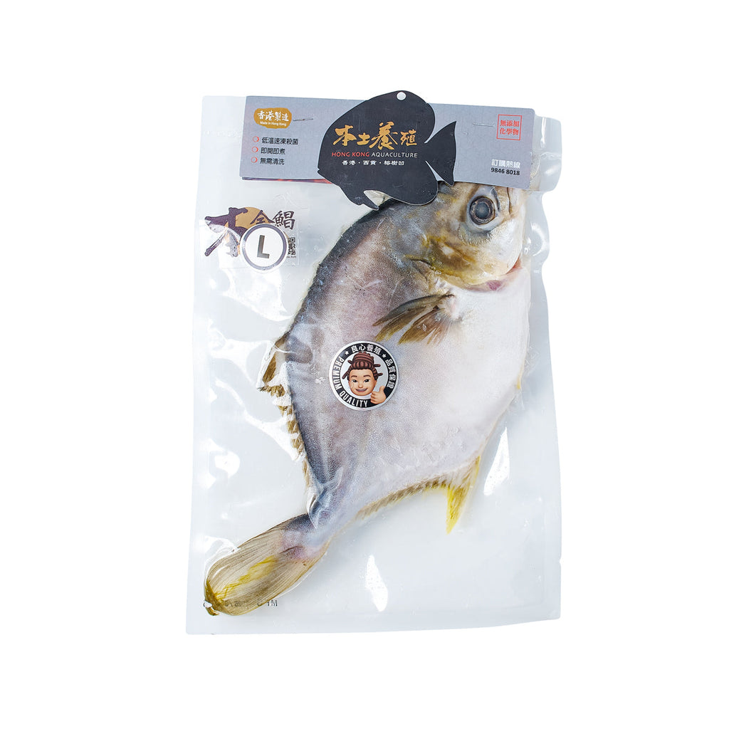 本土養殖 本地急凍養殖本金鯧 (黃立鯧) - L  (1pack)