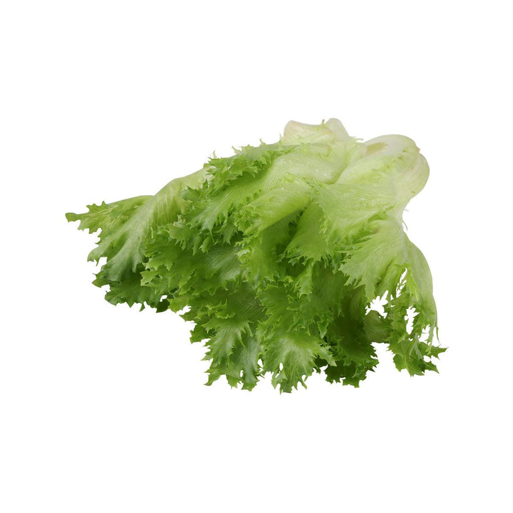 日本水耕Pure Veil沙律生菜  (1pack)