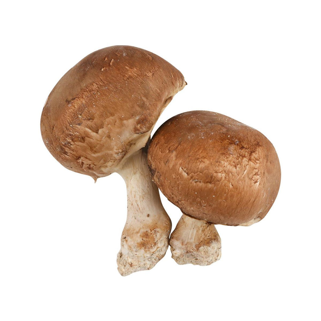 BRUNO CALEGARI 法國粉紅巴黎蘑菇  (500g)