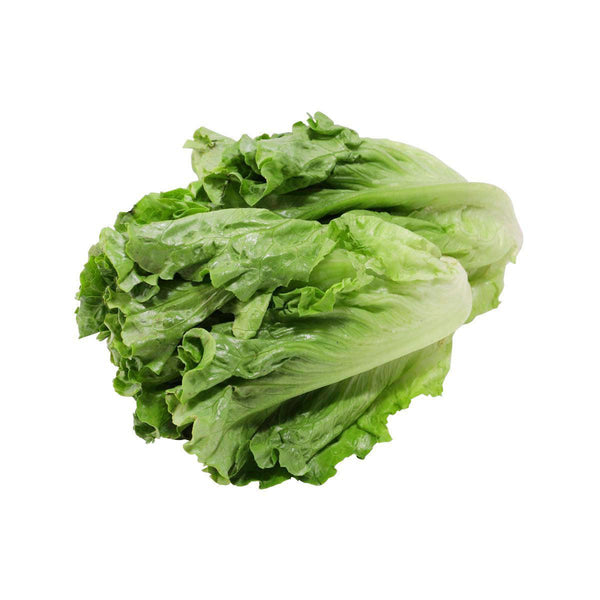 中國有機生菜 - 不使用化學肥料及農藥 (250g)