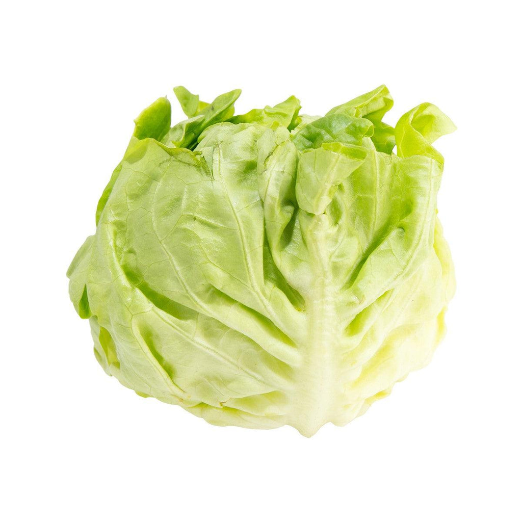 法國牛油生菜  (600g)