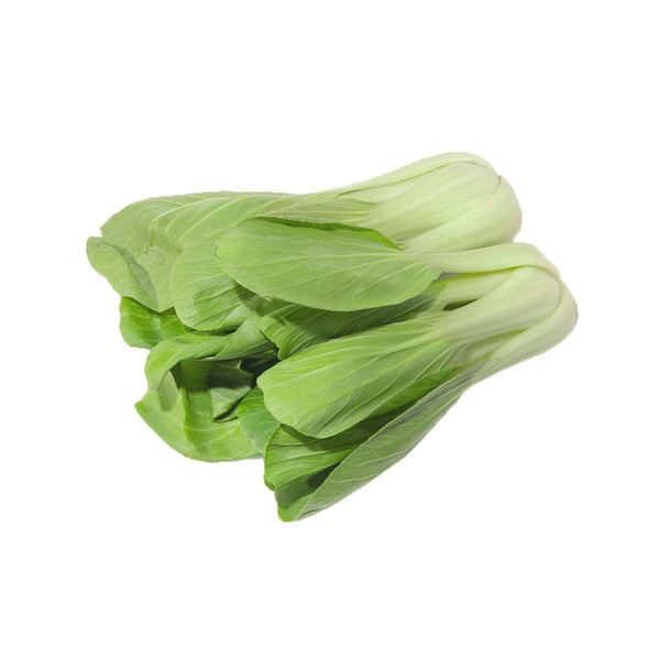日本小棠菜