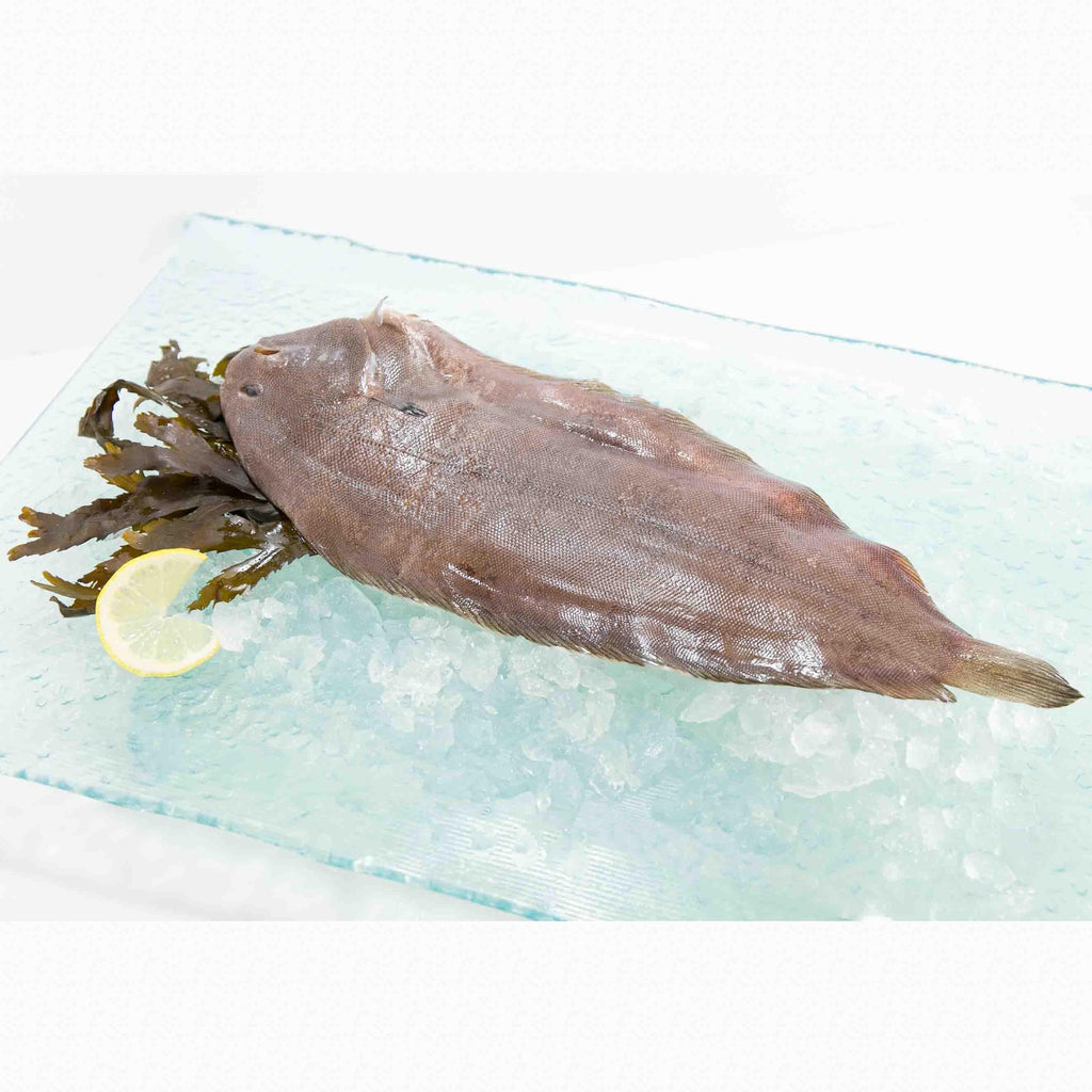 法國野生細龍利魚  (300g)