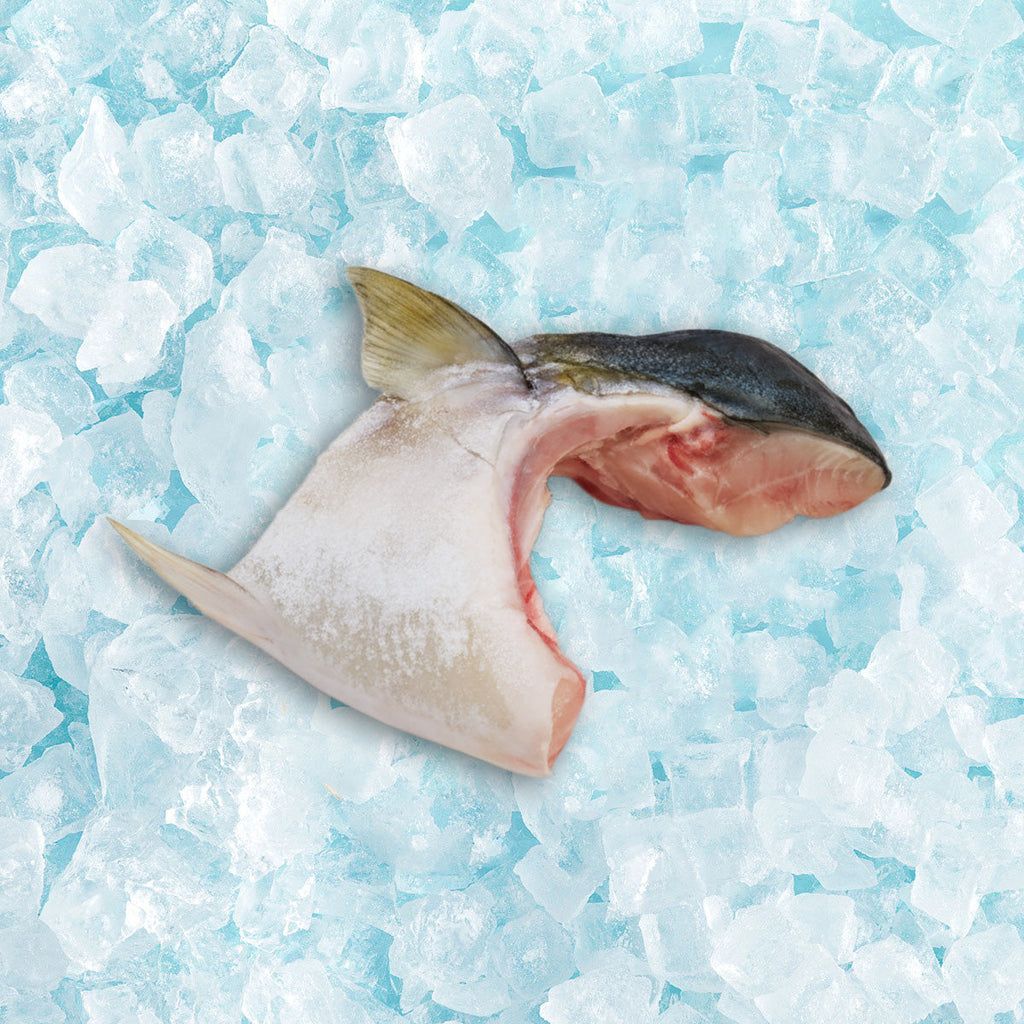 日本急凍油甘魚鮫  (2pcs)